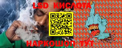 хмурый Сланцы
