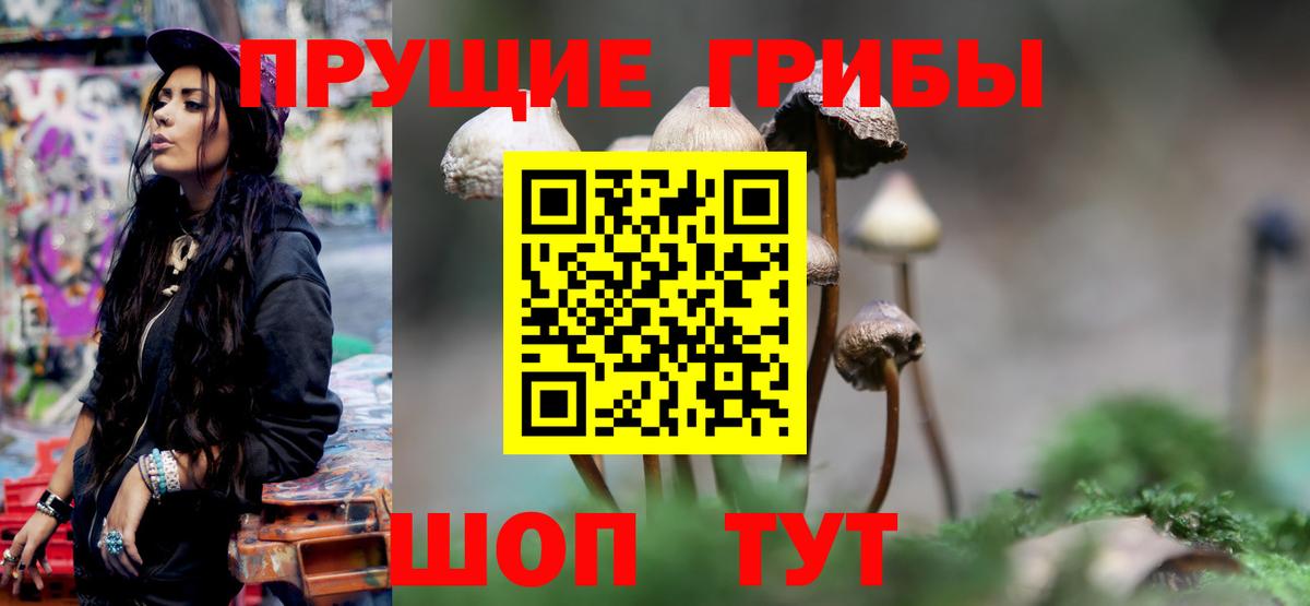 Галлюциногенные грибы Psilocybe  Вход с VPN  Псилоцибиновые грибы Magic Shrooms  наркота  Чайковский 