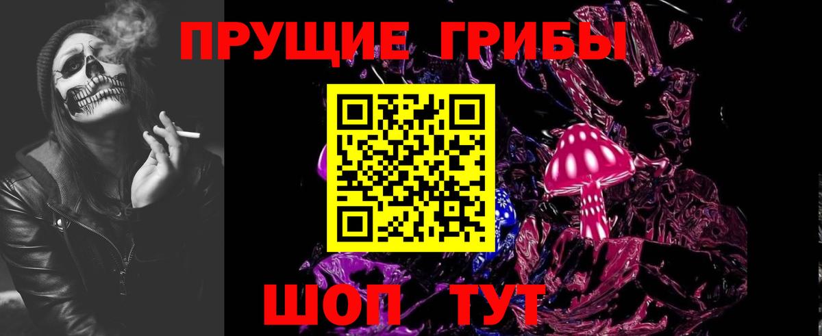 Псилоцибиновые грибы Cubensis Чайковский